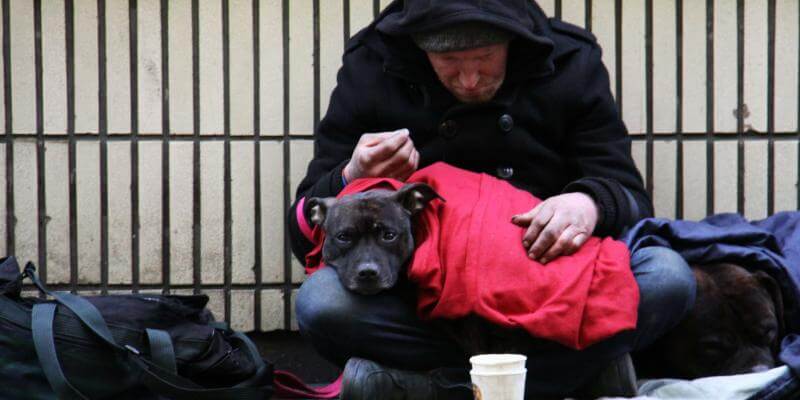 Homeless Person Homeless Person