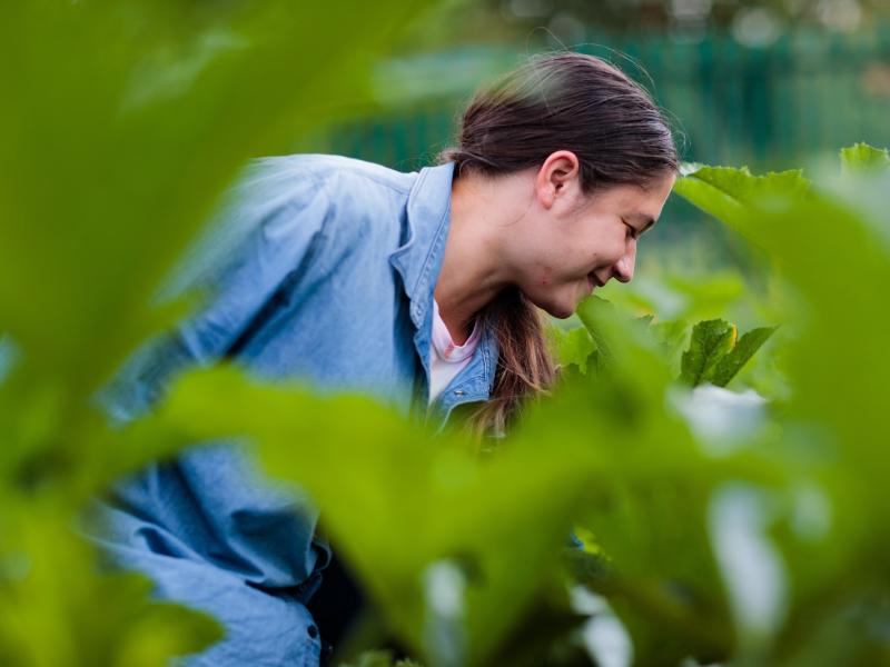 An artistic photograph of a woman gardening with leaves in the periphery. 