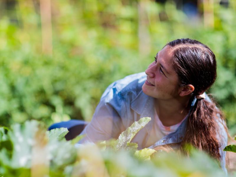 Customer doing gardening