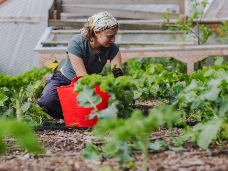 Gardening at local garden centre