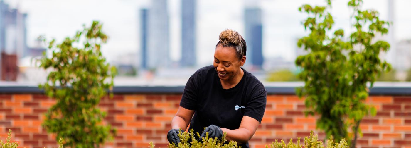 Person doing gardening