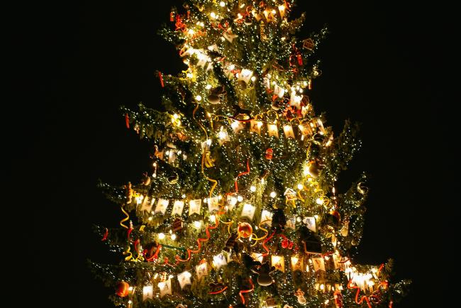 An outdoor christmas tree lit up in the night sky