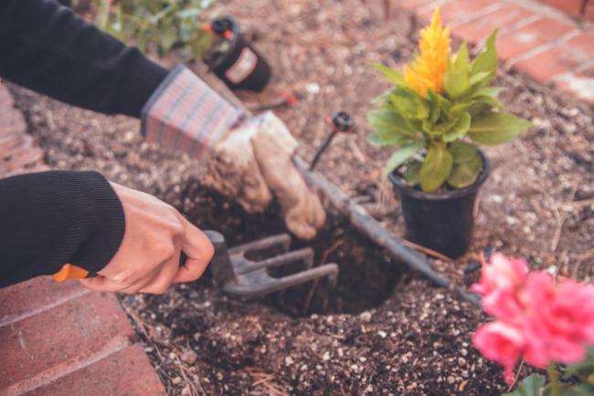 Gardening volunteers needed in your community 
