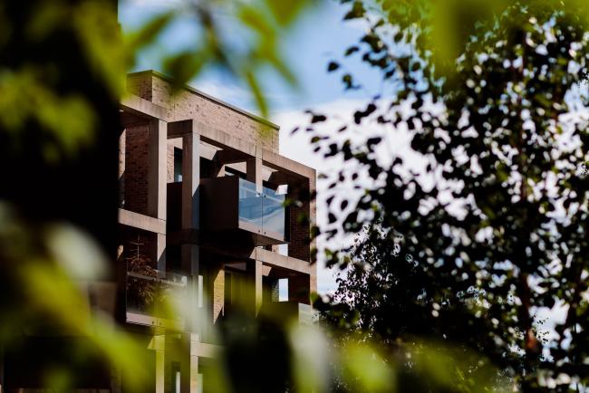 One Manchester development. A photo shot through the tree's in an artistic shot. 